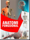 Anatomi Fungsional