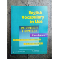 Image of English Vocabulary in Use, Pre-Intermediate and Intermediate